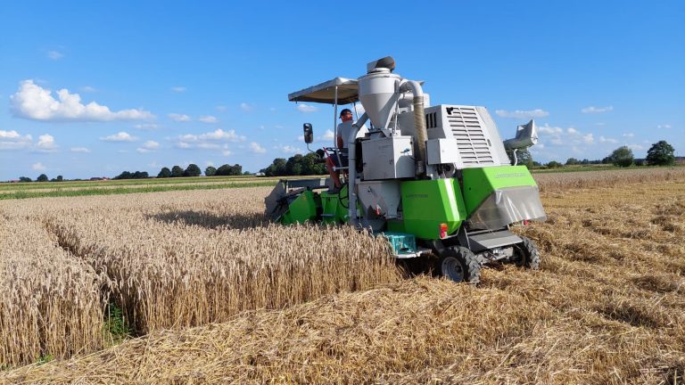 Miedniewice zbiór zbóż wintersteiger